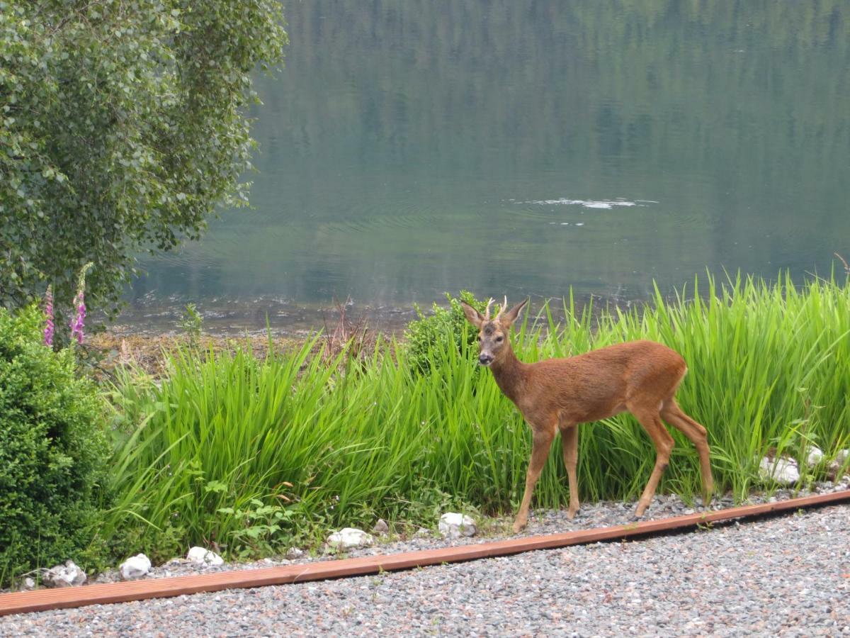 Lochwood Guest House Wing Lochgoilhead Esterno foto